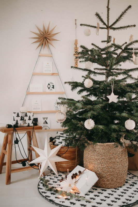 46+ Weihnachtsbaum Im Garten, Sie haben fragen und wir die antworten: